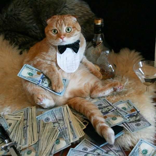 Acid Picdump (97 pics)