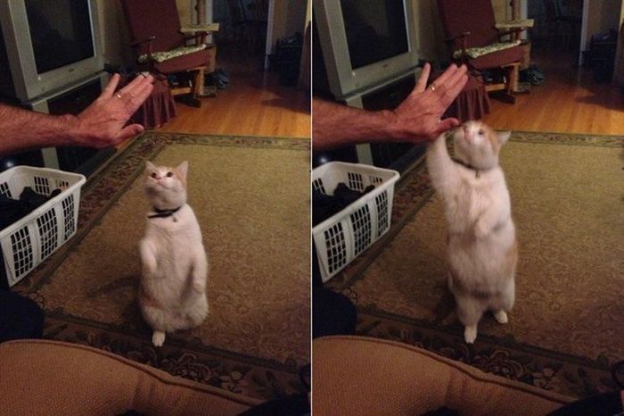 Acid Picdump (97 pics)