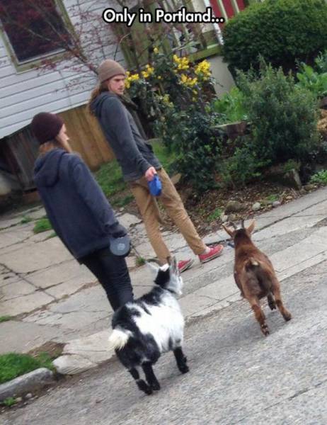 Acid Picdump (97 pics)