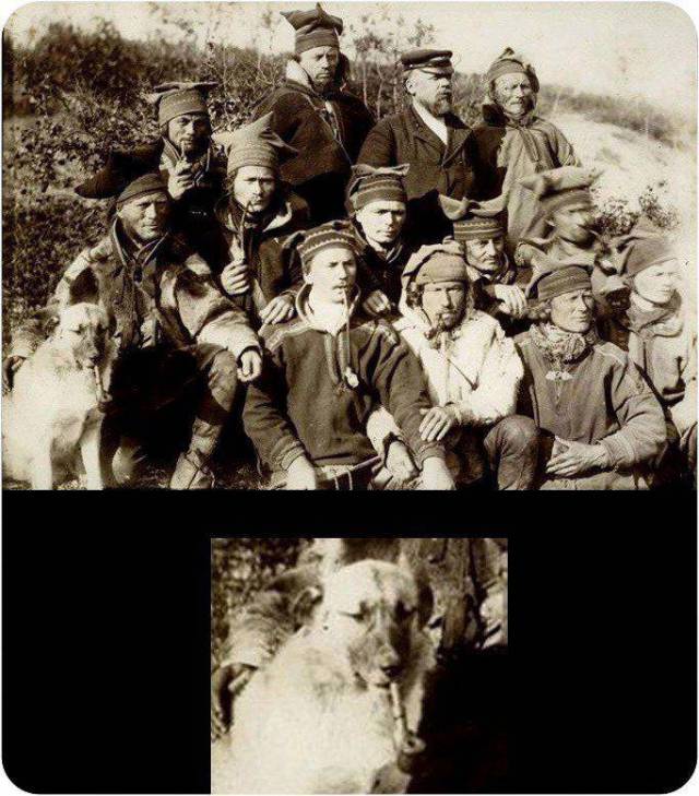 Acid Picdump (97 pics)