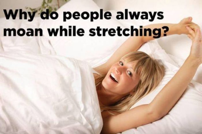The World Is Full Of Huge Secrets That Can't Be Explained (22 pics)