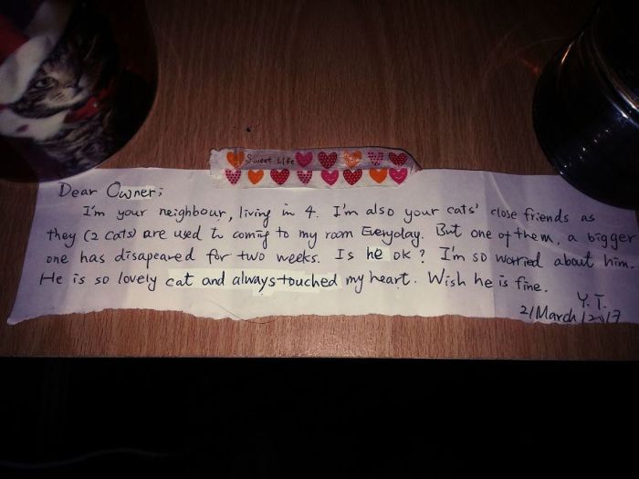 Couple Finds A Heartbreaking Note After Losing Their Cat (3 pics)