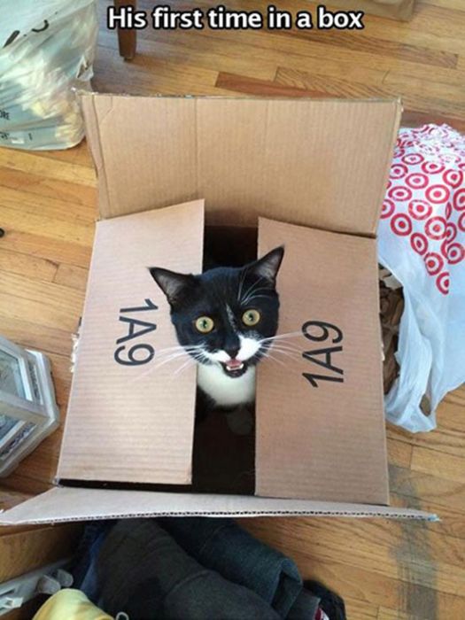 People And Animals Experiencing Fun Things For The Very First Time (27 pics)
