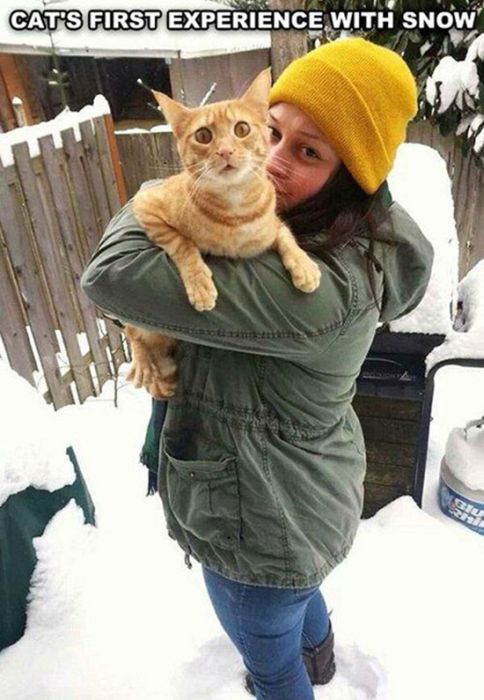People And Animals Experiencing Fun Things For The Very First Time (27 pics)