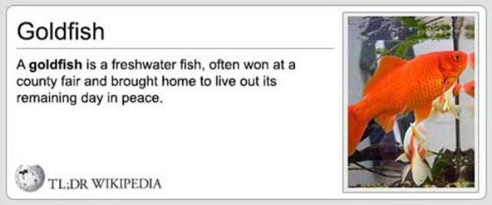 If Wikipedia Actually Told Us What We Need To Know (21 pics)