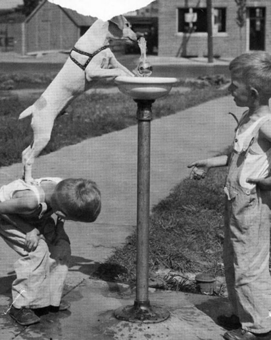 Kids Used To Have Real Fun Before Smartphones (40 pics)