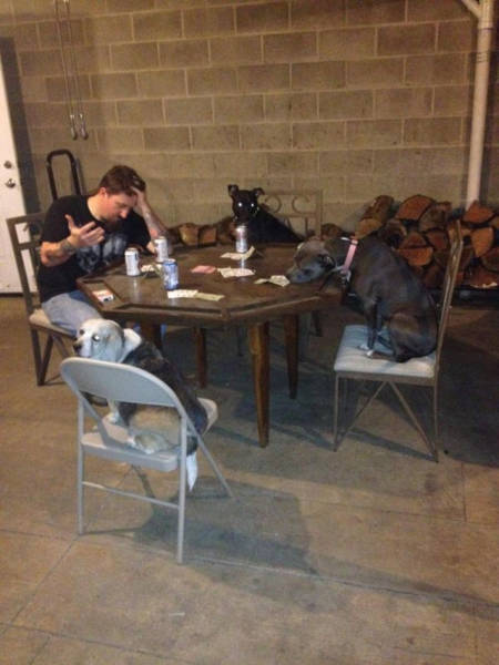 Forever Alone Isn't Just A Saying, It's A Lifestyle (42 pics)