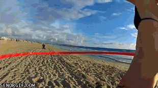 Acid Gifdump, March 15, 2017 (25 gifs)