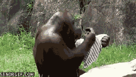 Acid Gifdump, March 15, 2017 (25 gifs)