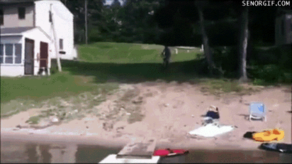 Acid Gifdump, March 15, 2017 (25 gifs)
