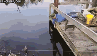 Acid Gifdump, March 15, 2017 (25 gifs)