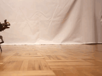 Acid Gifdump, March 15, 2017 (25 gifs)