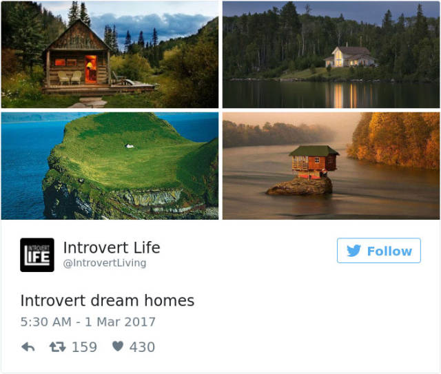 Be Proud Of Your Inner Introvert (58 pics)