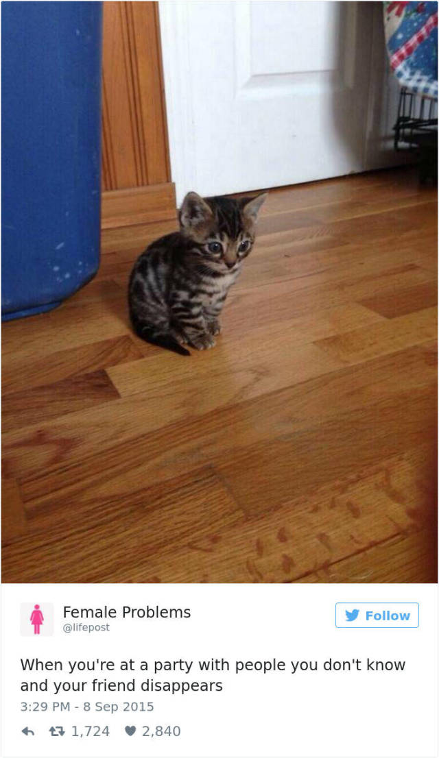Be Proud Of Your Inner Introvert (58 pics)