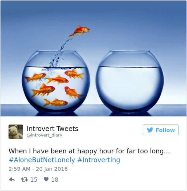 Be Proud Of Your Inner Introvert (58 pics)