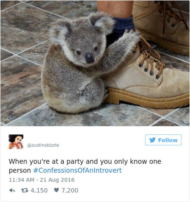 Be Proud Of Your Inner Introvert (58 pics)