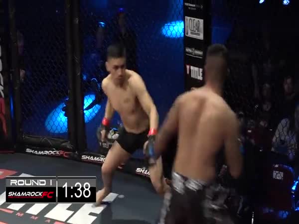 MMA Double Knockout