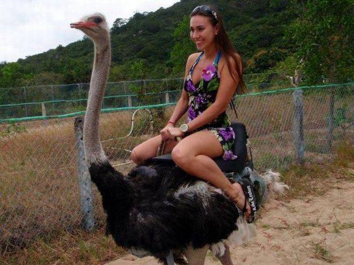 Acid Picdump (108 pics)