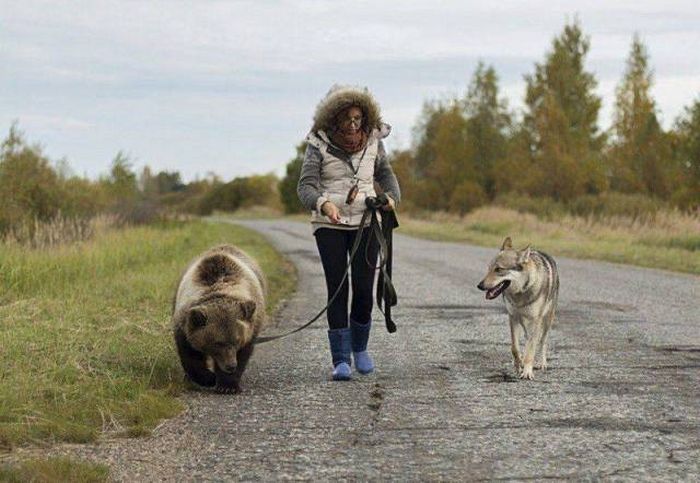 Acid Picdump (108 pics)