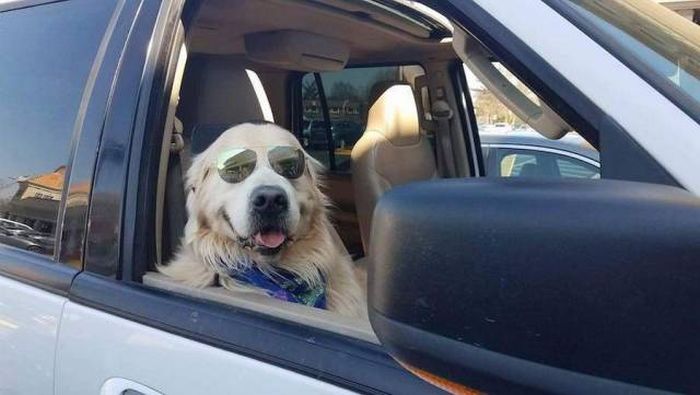 Acid Picdump (108 pics)