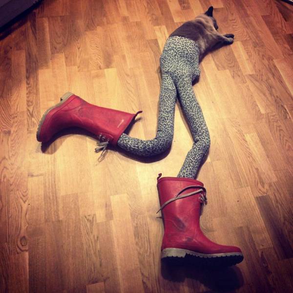 Acid Picdump (108 pics)