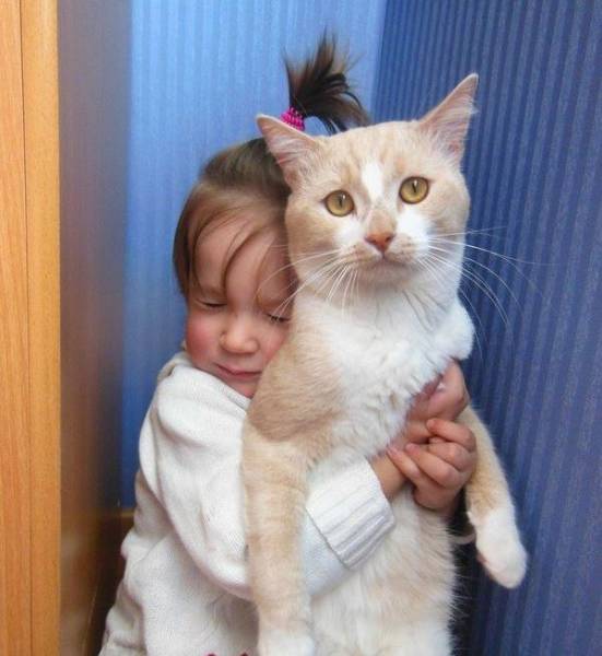 Acid Picdump (108 pics)