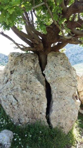 Acid Picdump (108 pics)