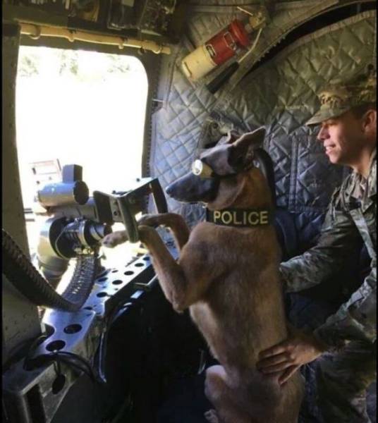Acid Picdump (108 pics)