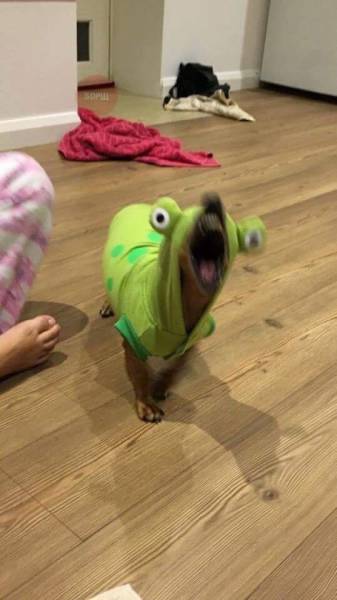 Acid Picdump (108 pics)