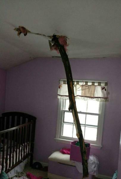 Acid Picdump (108 pics)