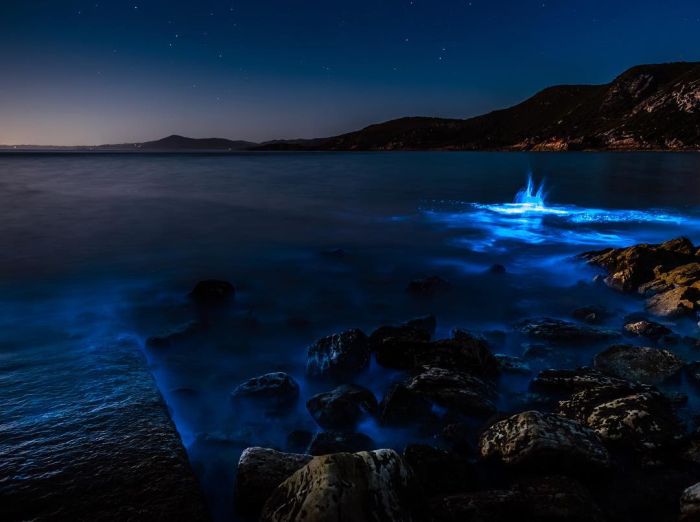 Breathtaking Water Off The Coast Of Tasmania (7 pics)