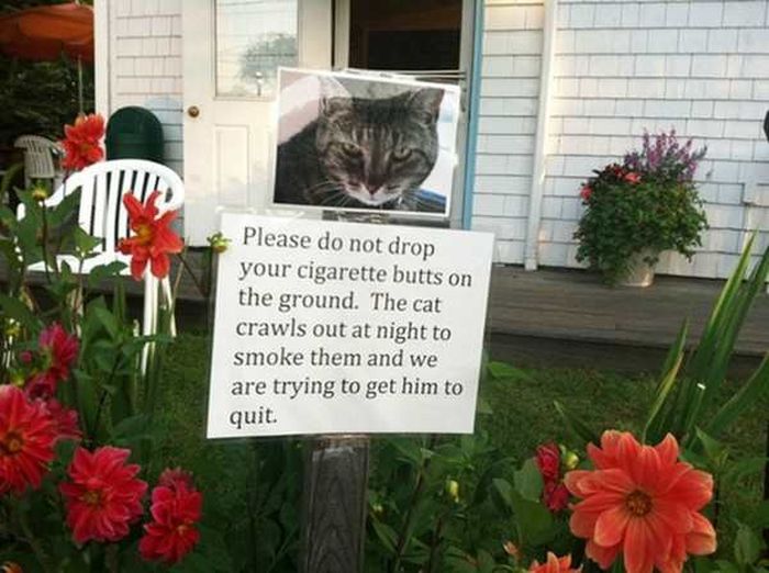Extremely Funny Signs Found In Ordinary Yards (22 pics)