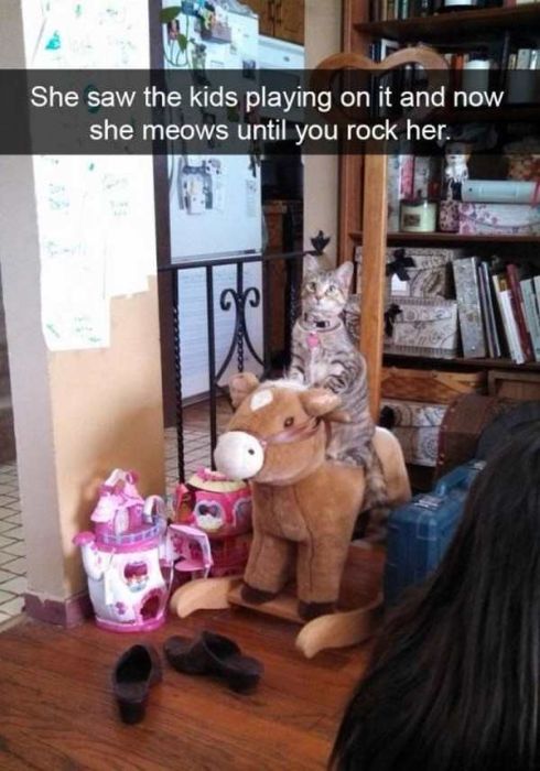 Cats Are Even More Hilarious On Snapchat (33 pics)
