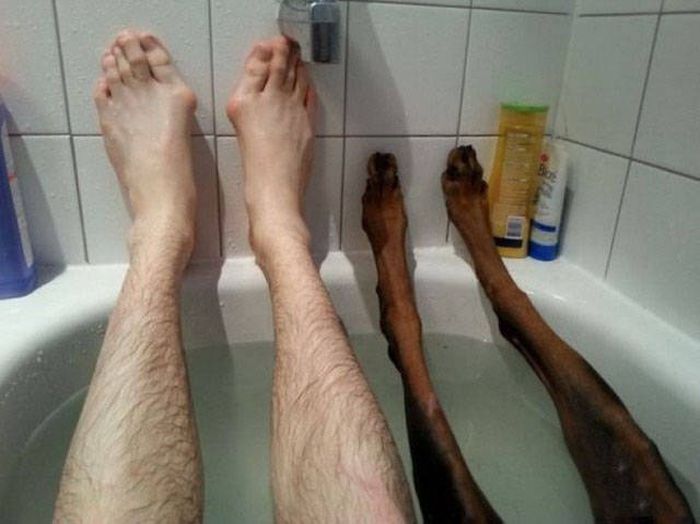 No One Seems To Know What's Wrong With These Guys (45 pics)