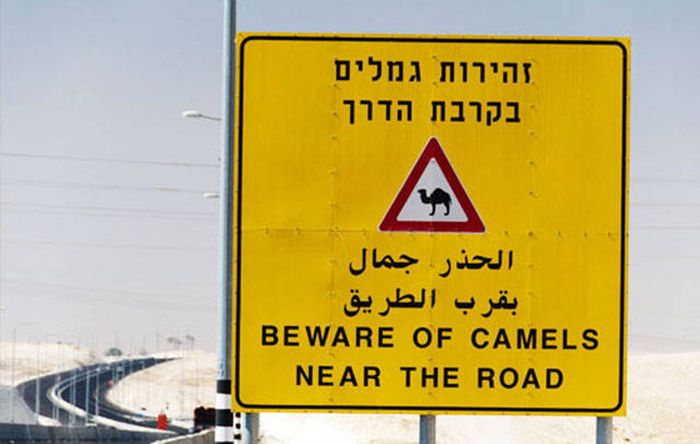 A Few Casual Israeli Things That Will Blow Your Mind (40 pics)