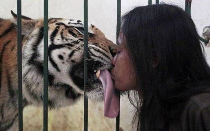 Acid Picdump (95 pics)