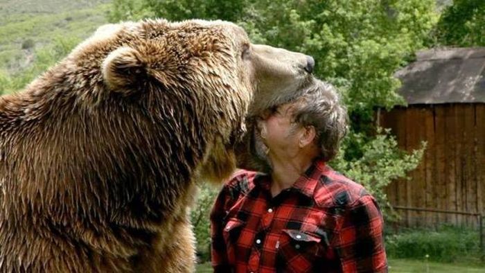 Acid Picdump (95 pics)