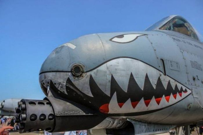 Acid Picdump (95 pics)