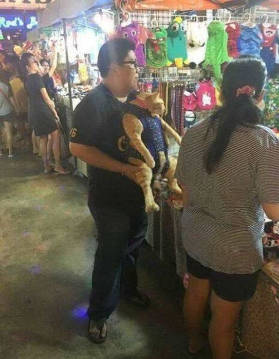 Acid Picdump (95 pics)