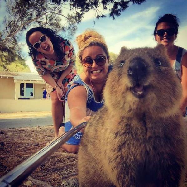 Acid Picdump (95 pics)