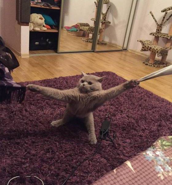 Acid Picdump (95 pics)