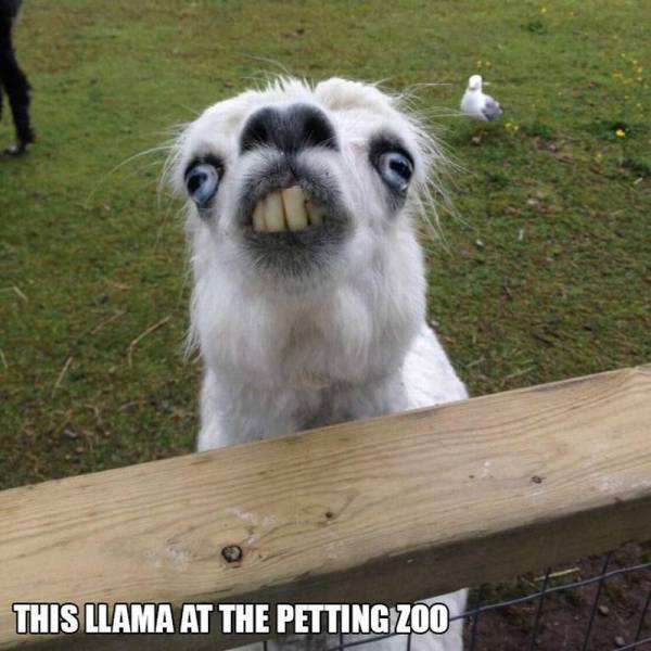 Acid Picdump (95 pics)