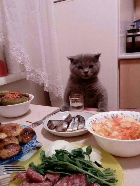 Acid Picdump (95 pics)