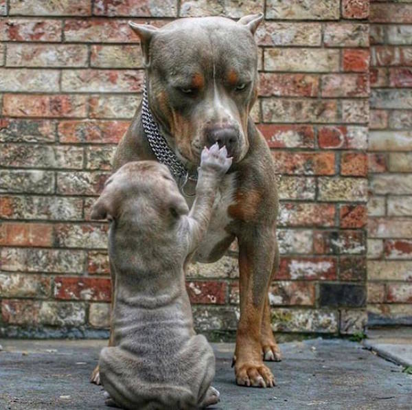 Acid Picdump (95 pics)