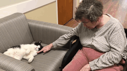 Oreo Is The World's First Cat Nurse (6 pics)