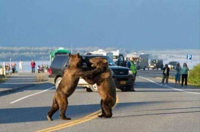 Acid Picdump (94 pics)