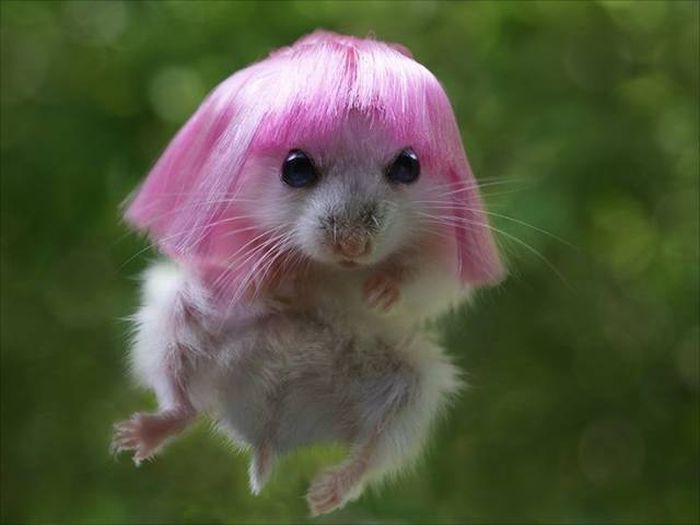 Acid Picdump (94 pics)