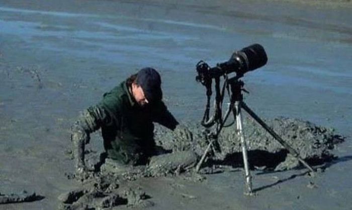 Acid Picdump (94 pics)