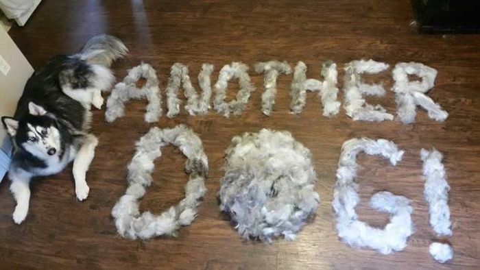 Acid Picdump (94 pics)