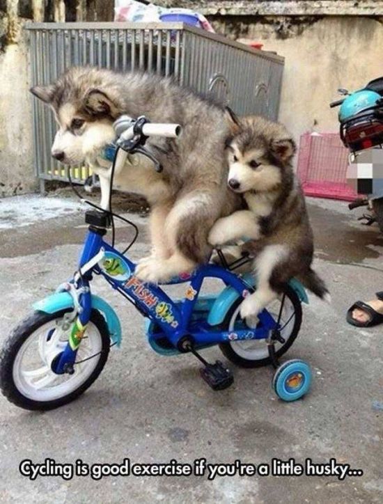 Acid Picdump (94 pics)